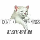 CAT I DONT DO MORNINGS