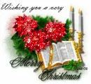 Wishing you a very Merry Christmas - xmas