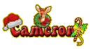 Santa: Cameron
