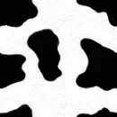 Vaca