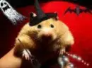 Witch