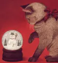 animals