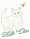 Hello There~Cat