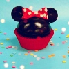 minnie mouse cupcake