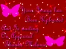 Your Image has been uploaded