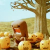 domo :E
