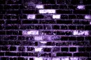 purple briks