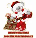 Bear with Paynter name