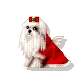 little angel puppy