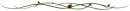 Vine