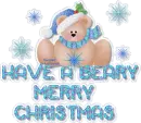 Have A Beary Merry Christmas bear