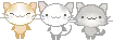 kitty dance