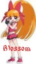 Blossom from PPG