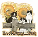 Good Morning~Cats