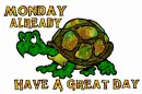 Monday Turtle