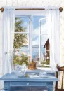 window
