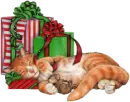 Christmas gifts