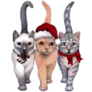cats