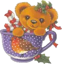 baby bear in a tea cup