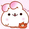 cute bunny