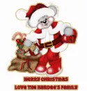 Xmas bear with Hardee's name