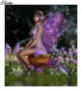 fairy