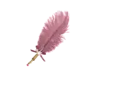 Feather Pen Rose - Lizzy