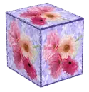Daisy Box