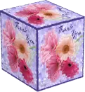 Daisy Box - Thank You