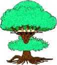 Lady Tree