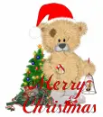 Bear Merry Xmas