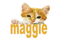 maggie