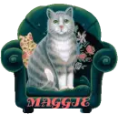 CAT IN CHAIR