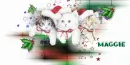 CATS IN SANTA HATS