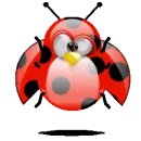 judy's tux ladybug