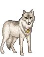 white wolf