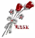 tracy red rosa