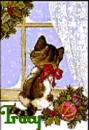 chrismas cat