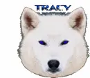 tracy wolf