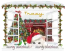 chrismas cat