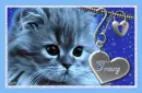 blue cat