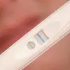 pregnant lesbian