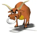 NO BULL