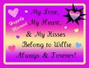 my heart = Wille