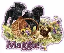Maggie