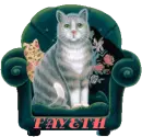 CAT IN CHAIR