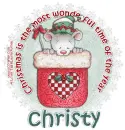 CHRISTY Wonderful Mouse 