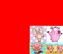 nice, cute , pig
