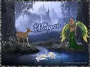 The Enchanted Wood - Morgan