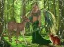 Forest Friends - Morgan